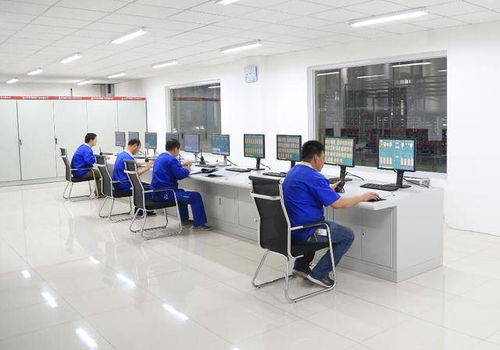 功能食品配料麥芽糖醇 技術發展、市場應用與技術服務全景分析